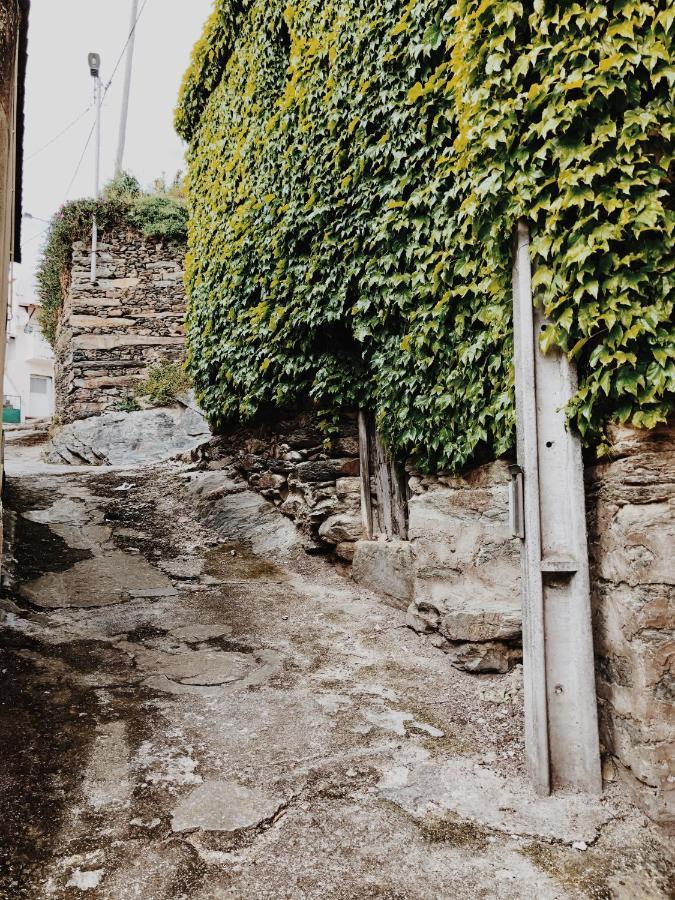 Гостьовий будинок Casa Do Douro Аліжо Екстер'єр фото